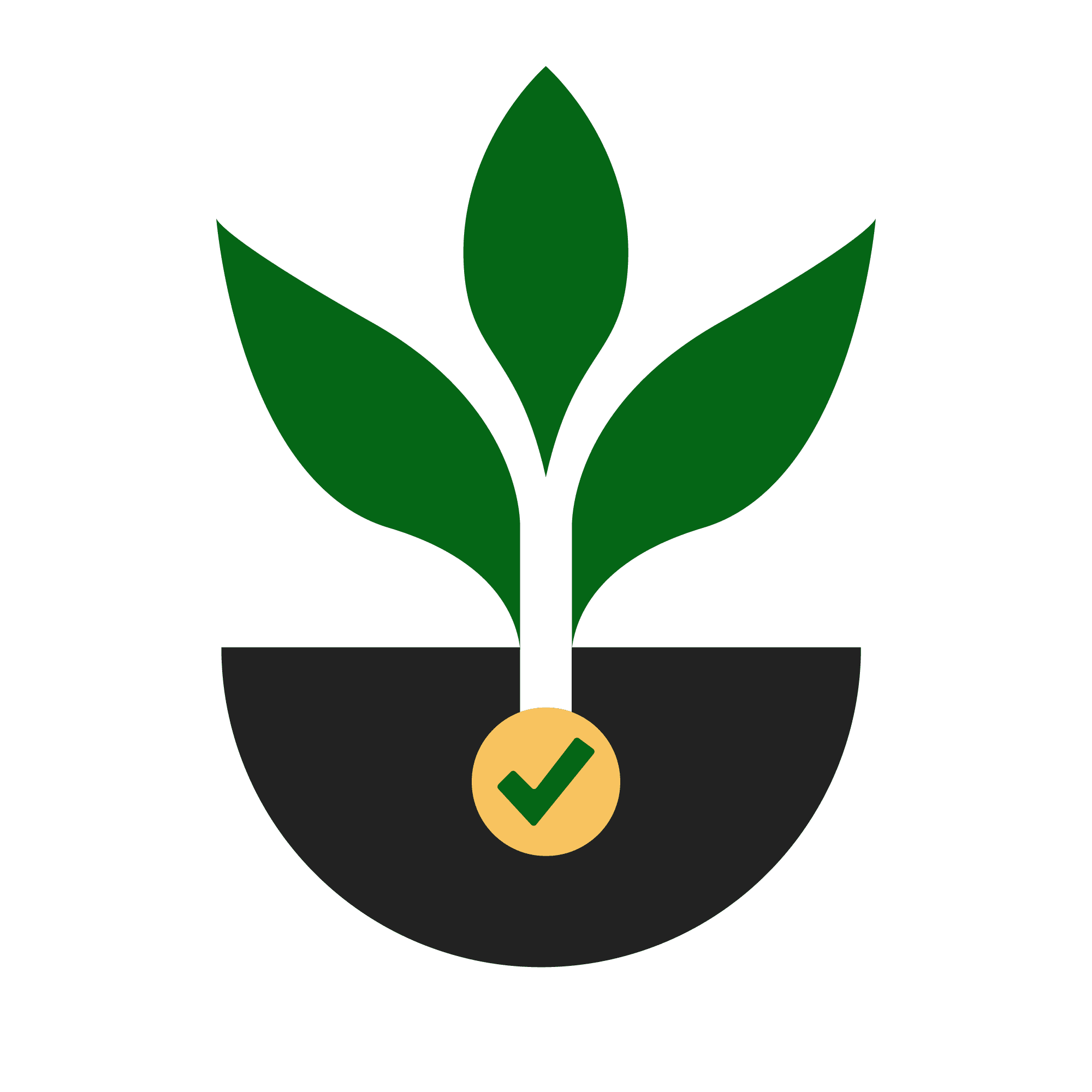 build-long-term-value