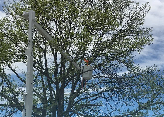 Crane-assisted removals