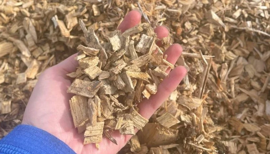 Wood Chips